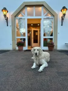 Foto von Leni
